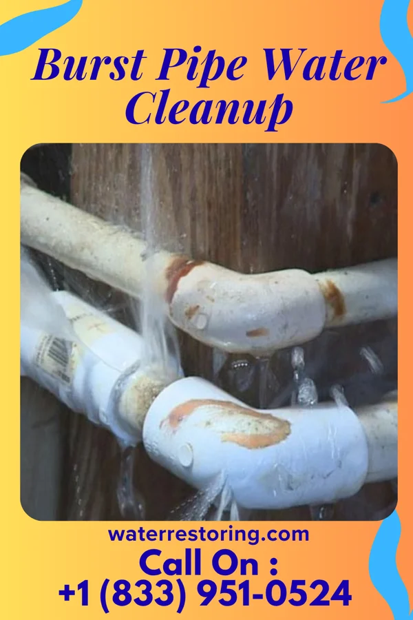 Burst Pipe Water Cleanup in Morristown, OH