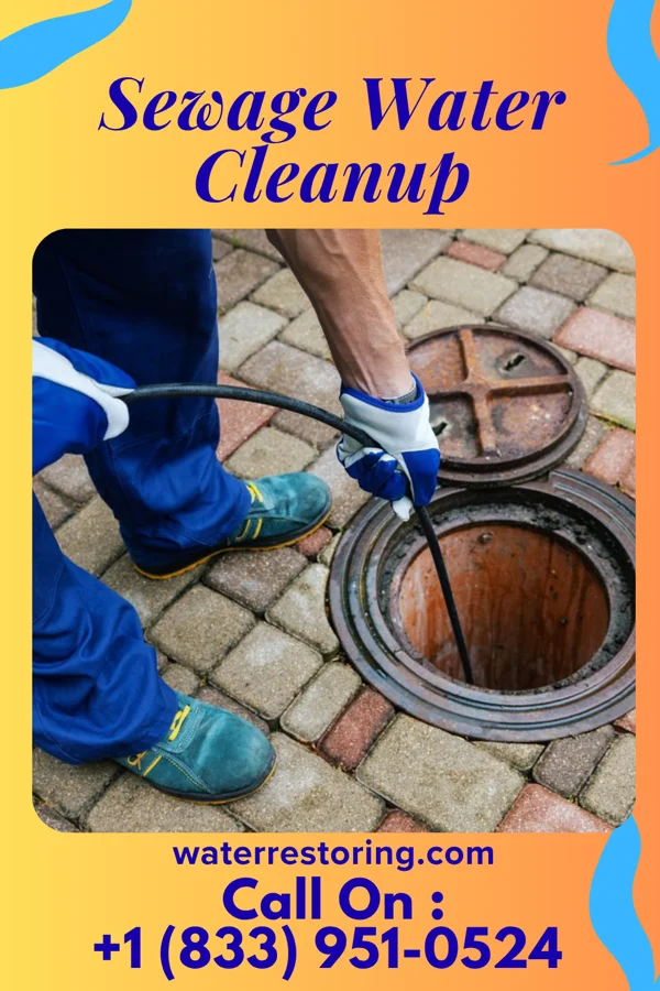 Sewage Water Cleanup in Morristown, OH
